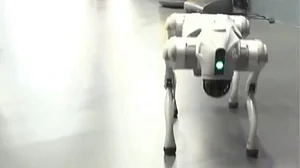 AI Impact Summit: Galgotias University’s ‘Chinese Robodog’ steals the show