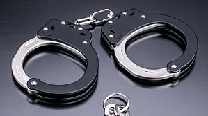 Bengal man held for over 50 bomb threats targeting schools, metro stations