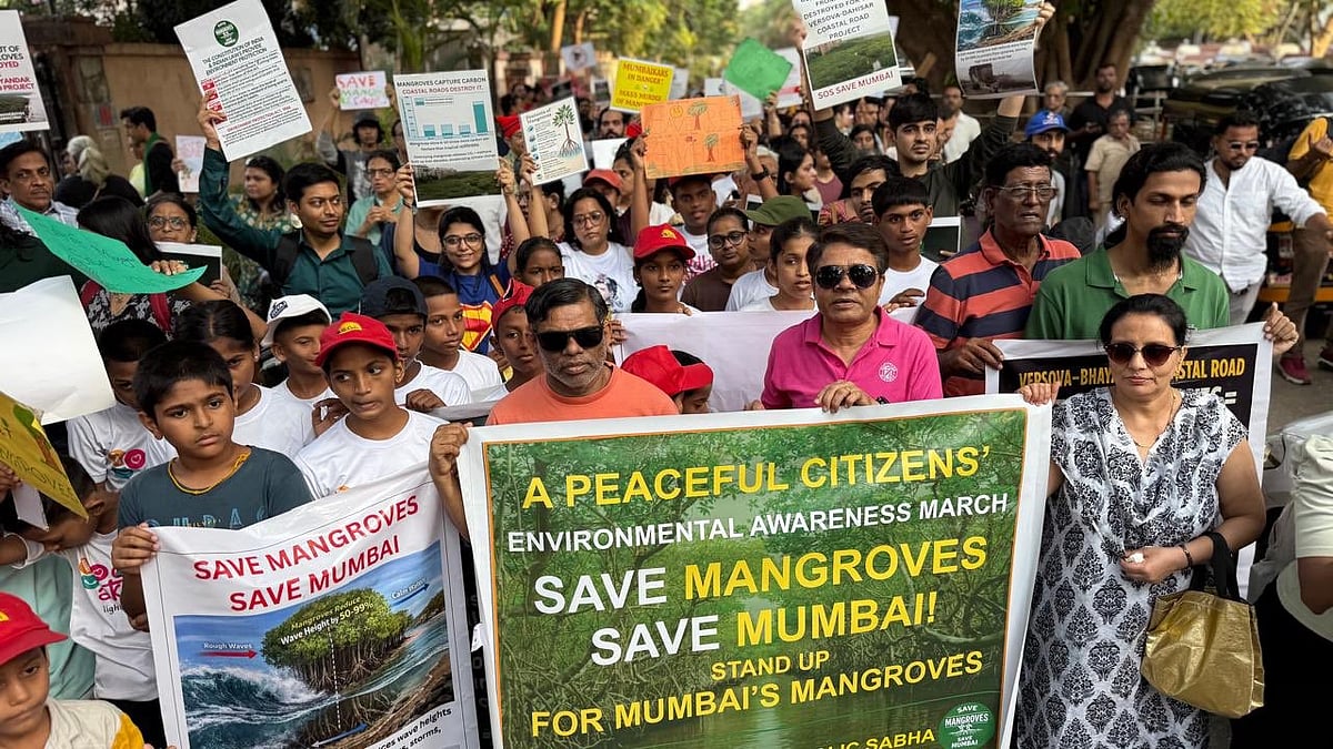 SC declines to halt mangrove removal for Versova–Bhayandar coastal road
