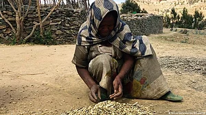 Gap between rich and poor nations growing even wider: UN report