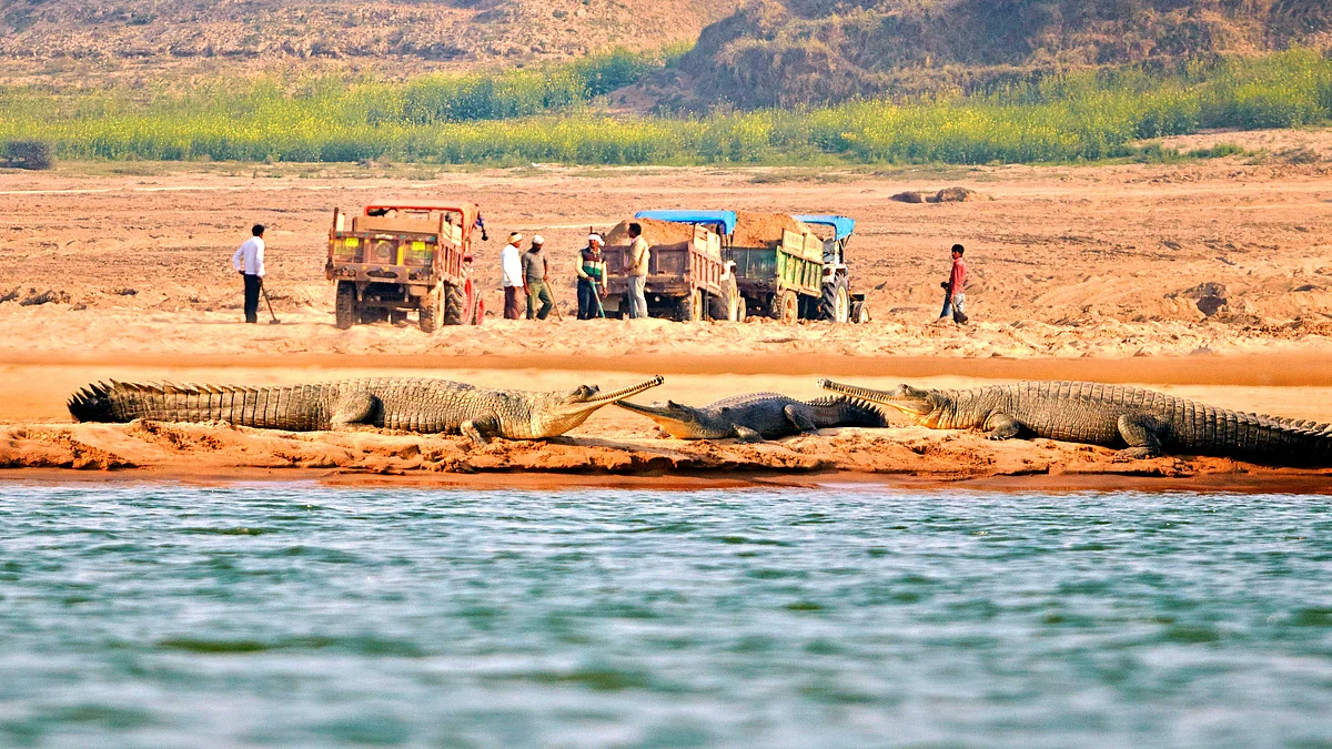 Meet the ‘modern dacoits’ of Chambal