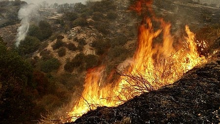 Wildfire in Japan