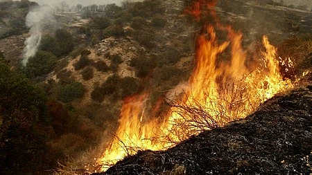 Wildfire in Japan