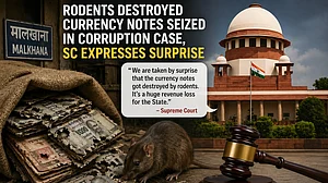 ‘Huge revenue loss’: SC surprised over rodents destroying seized cash in Bihar case