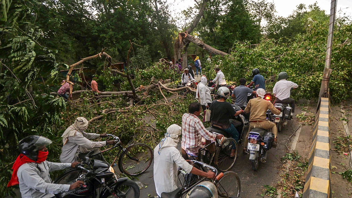 Commuters navigate past uprooted trees blocking a road in Prayagraj.