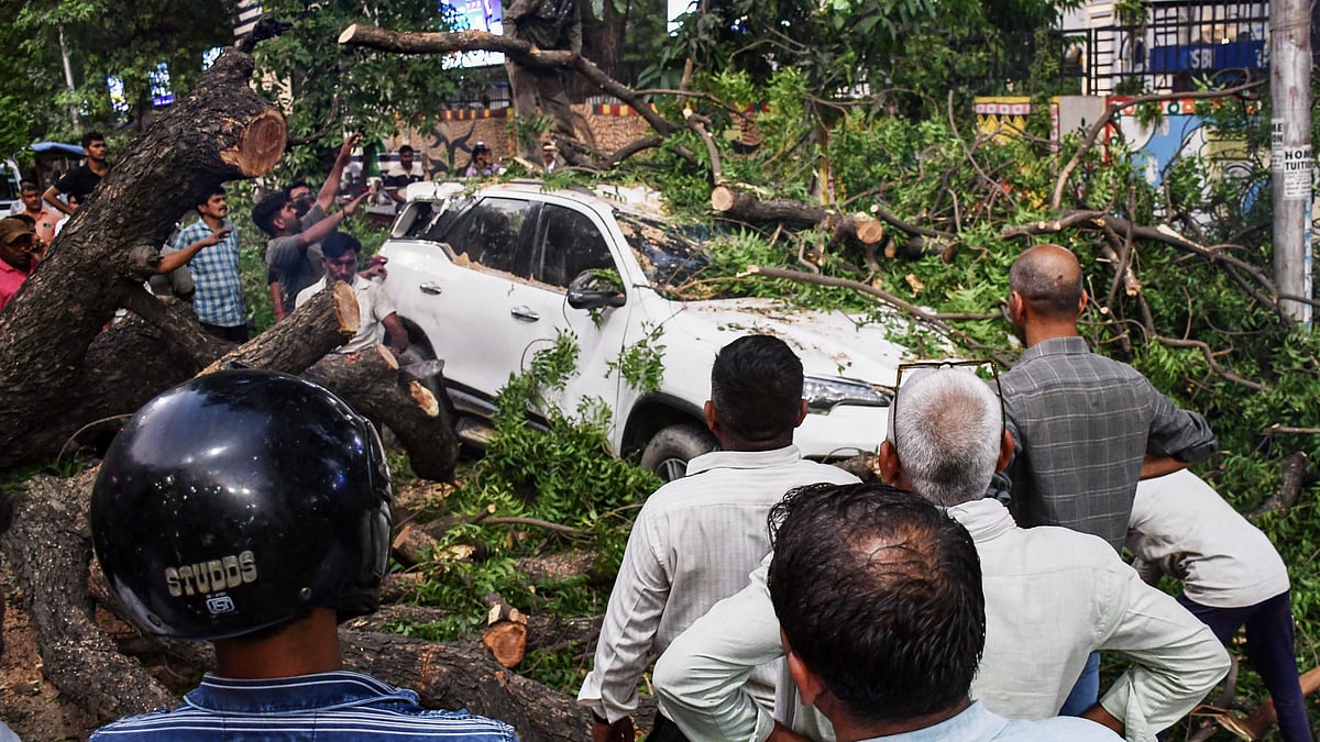 Residents gather around a car crushed by a fallen tree in Prayagraj.