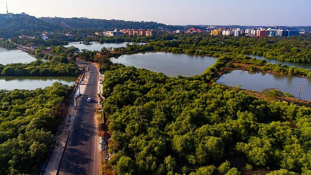 Goa declares zones near Old Goa, St Cruz as no-development areas