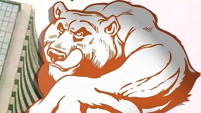 Representational image of a bear market