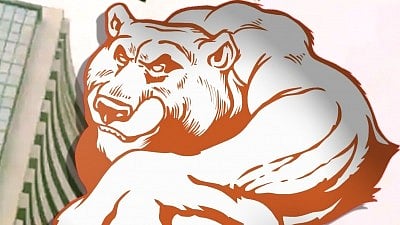 Representational image of a bear market