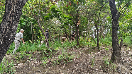Combing operations continue in Manipur