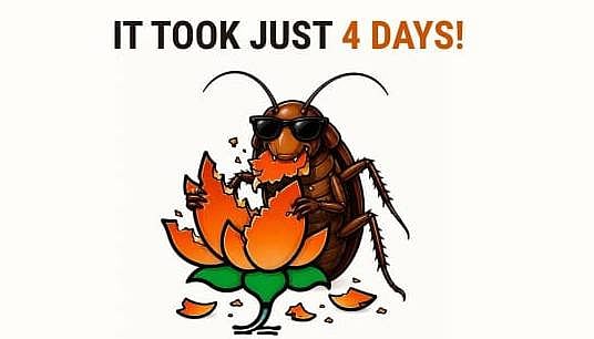 Cockroach Janata Party has underscored the ability of digital platforms to reshape political narratives. 