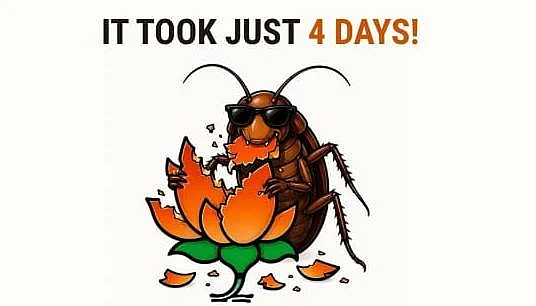 From viral satire to 11 M followers: How Cockroach Janata Party overtook BJP in 4 days