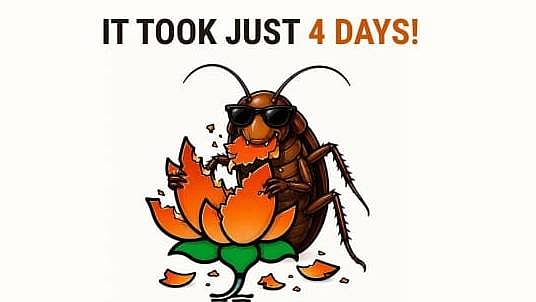 From viral satire to 11 M followers: How Cockroach Janata Party overtook BJP in 4 days