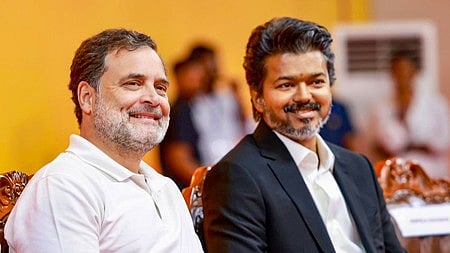 Tamil Nadu chief minister Joseph Vijay with LoP Lok Sabha Rahul Gandhi