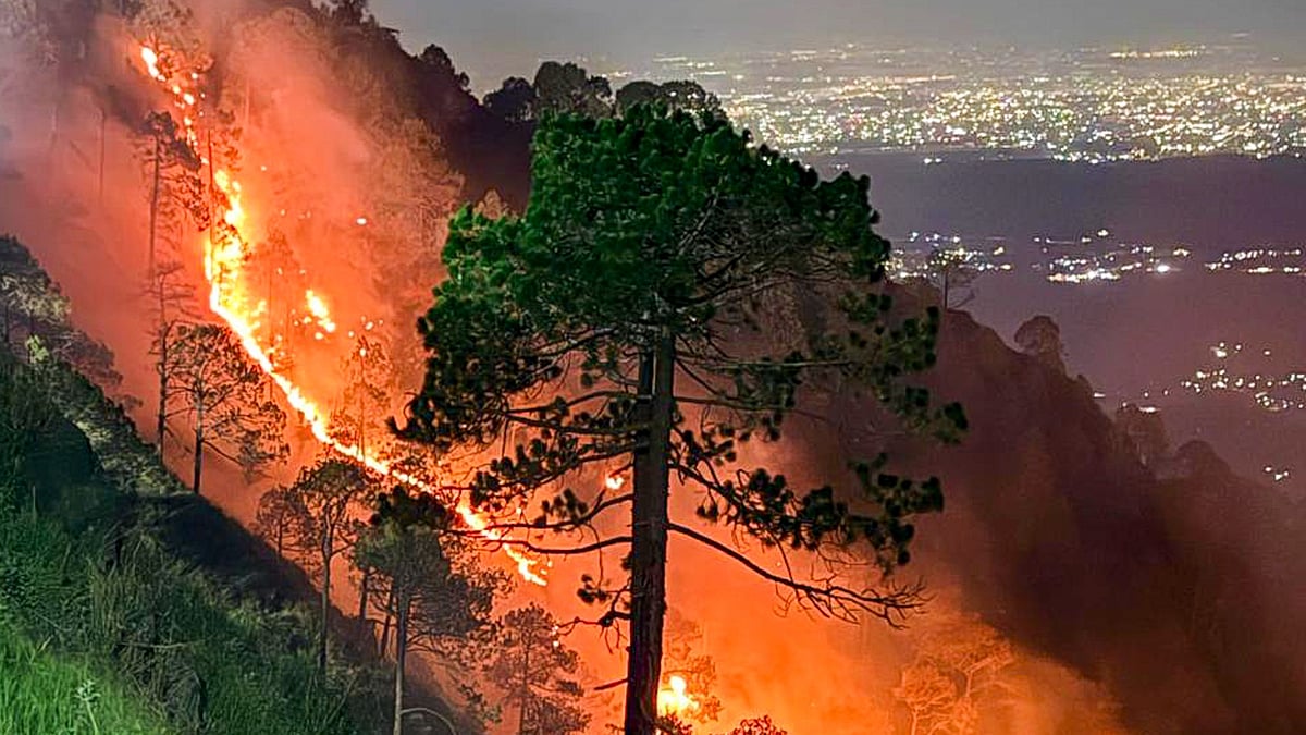 Army's Kasauli Brigade launched an immediate operation to prevent the blaze from spreading further. 