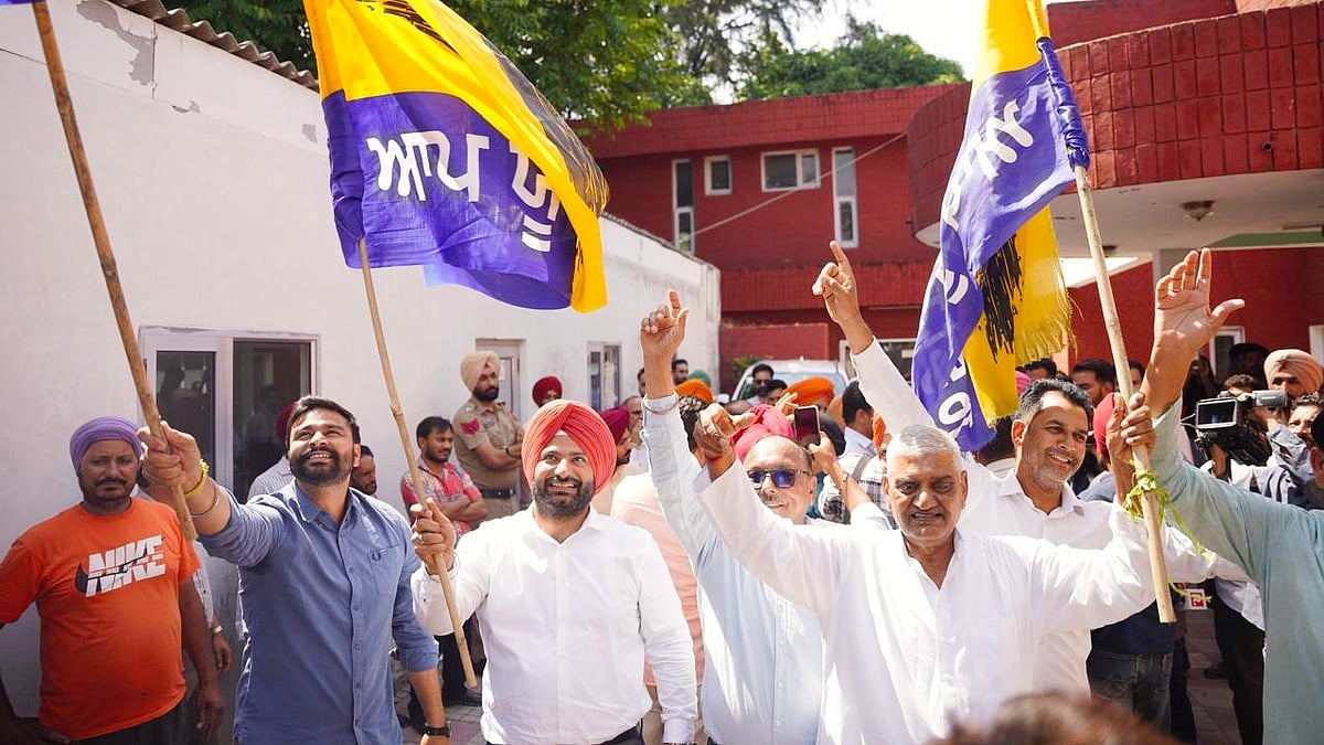 AAP supporters celebrate the win