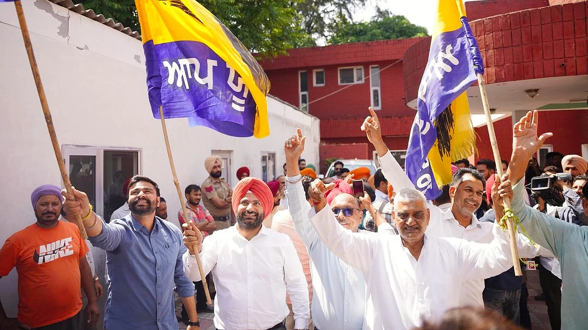 AAP supporters celebrate the win