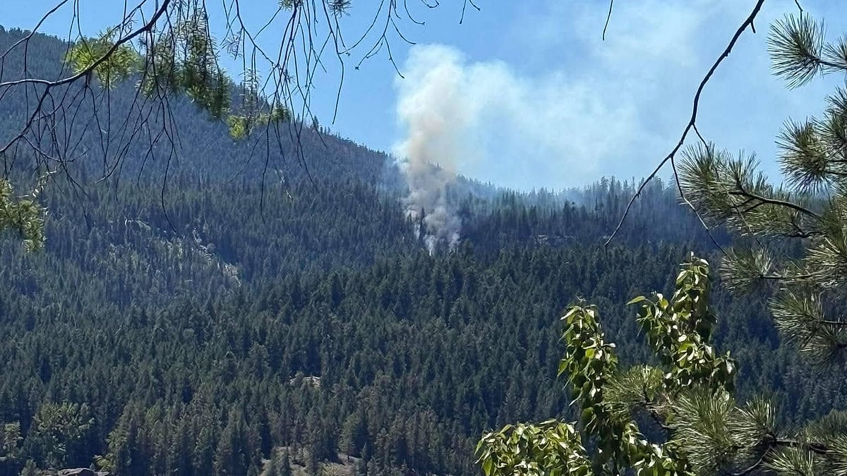US fighter jet crashes near Rimrock Lake in Washington.