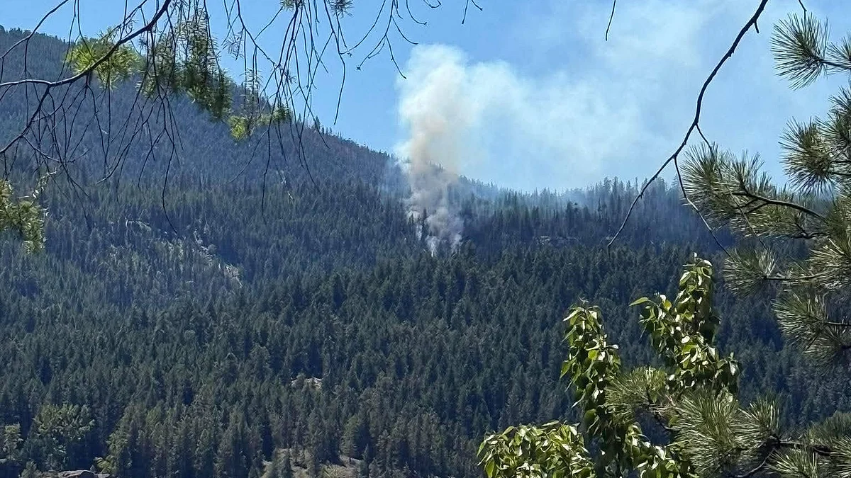 US fighter jet crashes near Rimrock Lake in Washington.