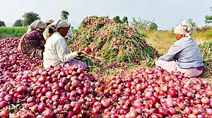 When the war reached an Indian village