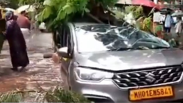 A tree fell on a car in Dadar on Wednesday