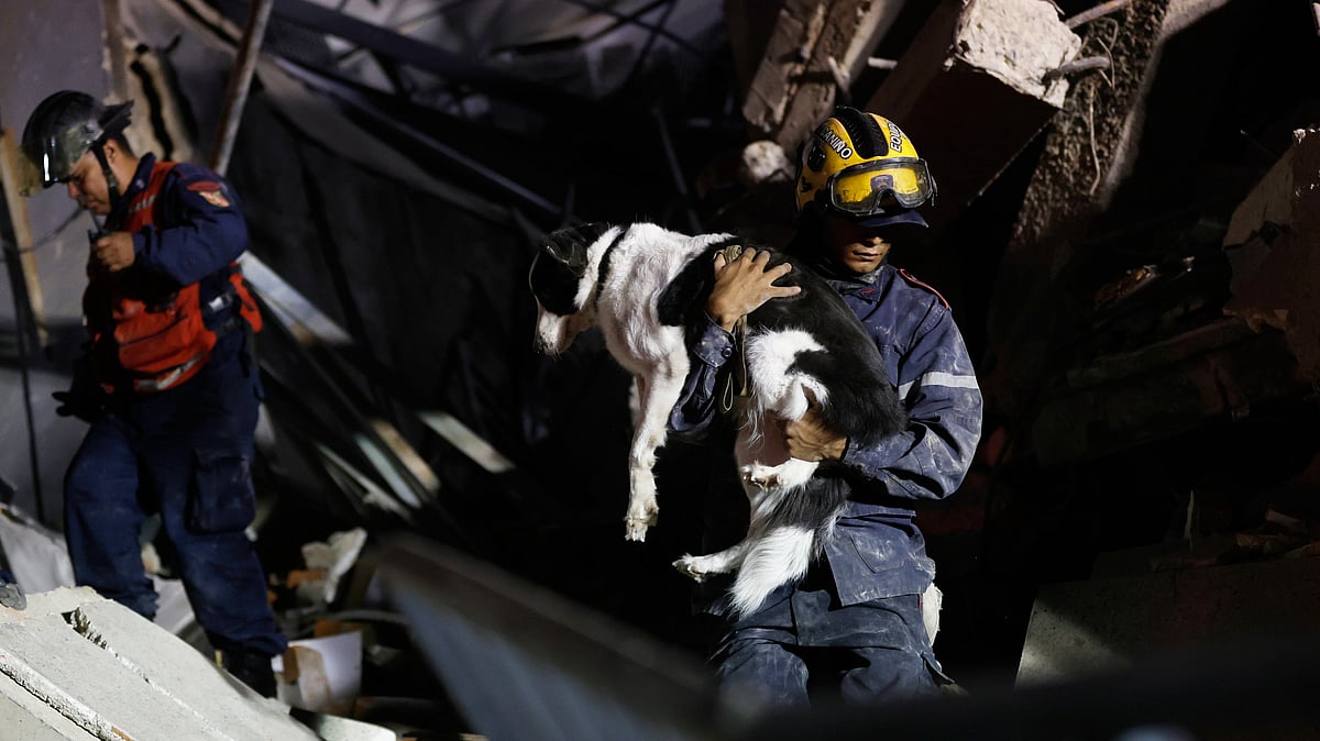 A firefighter rescues a pet from a building that collapsed after an earthquake in Caracas, Venezuela.