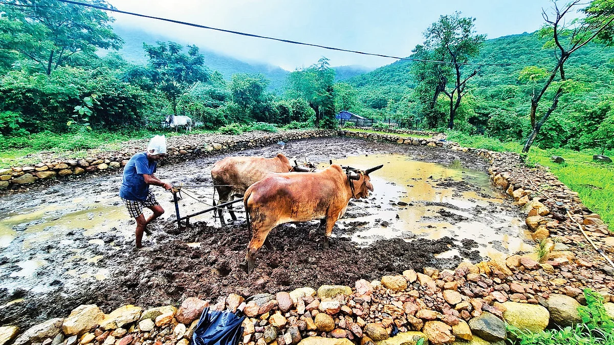 Maharashtra’s new Karjmukti Yojana is really a debt-relief programme with strings attached