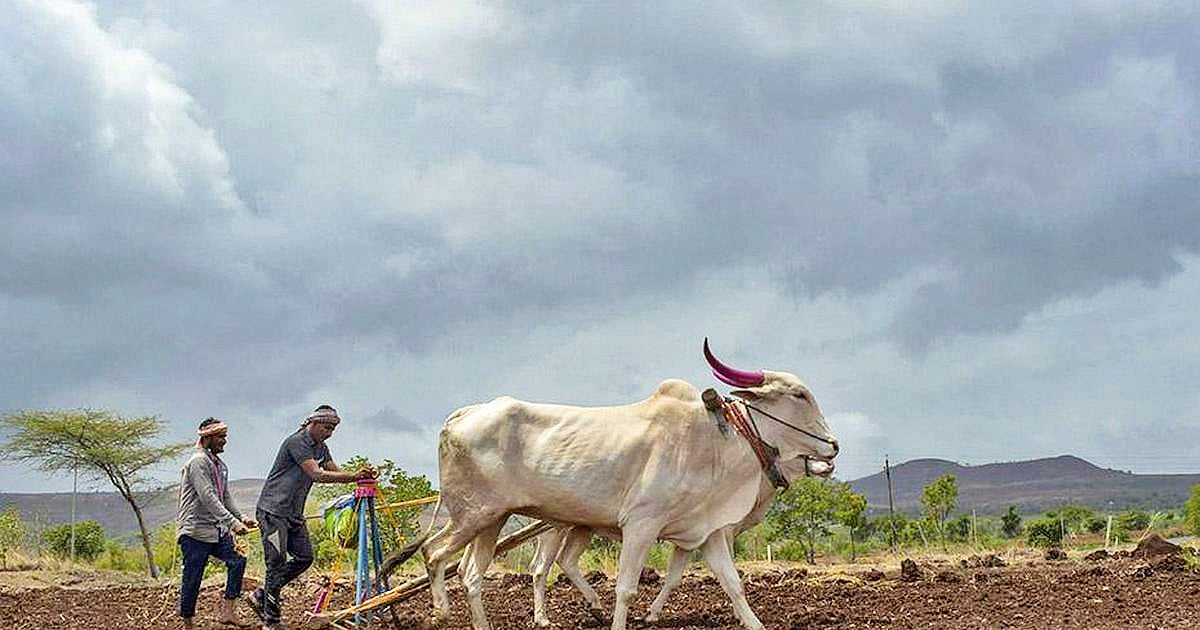 Farmers alarmed as UP receives 25 pc below-normal monsoon rainfall