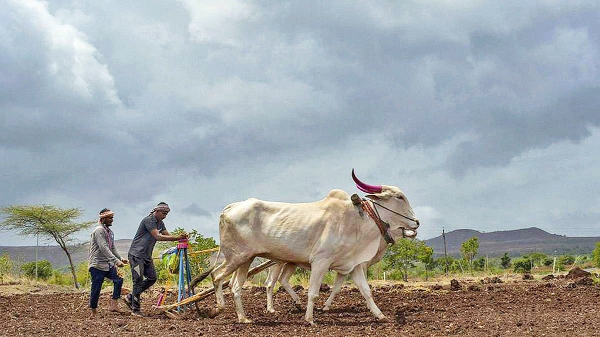 By end-June, India received roughly 42% below-normal rainfall, one of the driest Junes in a century