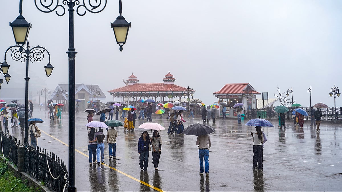 People shield themselves from the rain in Shimla.