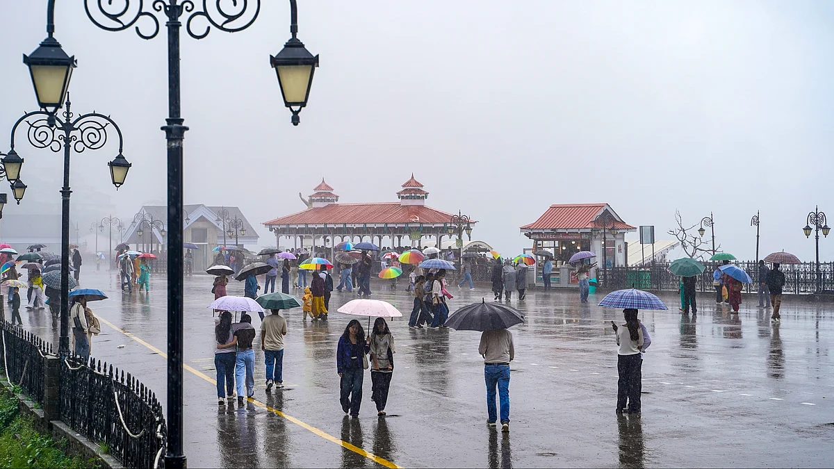 People shield themselves from the rain in Shimla.