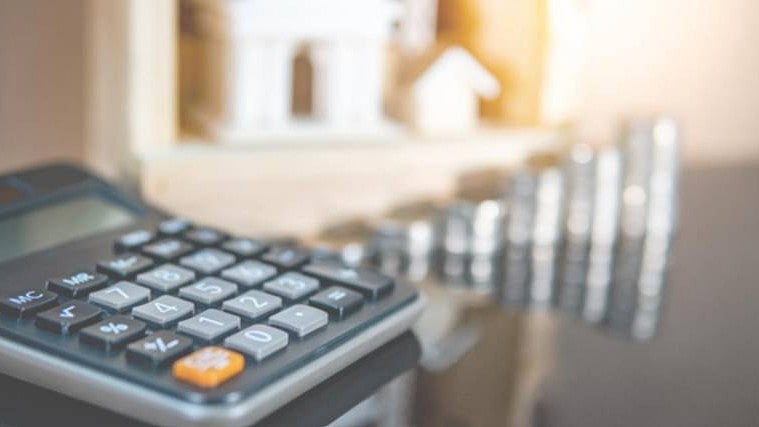 Mention major future expenses such as children's education or other long-term financial commitments. 