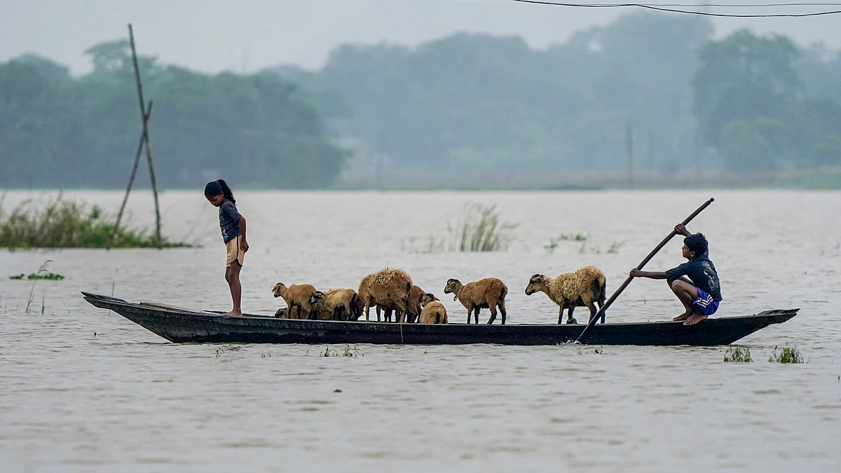 Children transport sheep by boat to safety amid flooding in Morigaon.