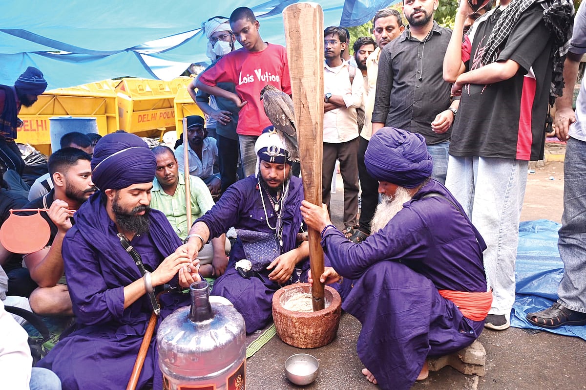A group of nihangs make almond ragda for hungry protesters at Jantar Mantar