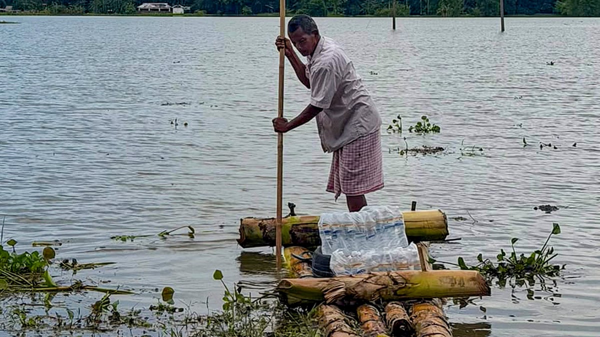 A fight for survival in Assam as floodwaters swallow the landscape.