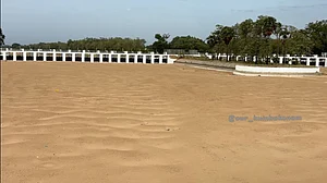 DMK moves SC for immediate release of Cauvery water to Tamil Nadu