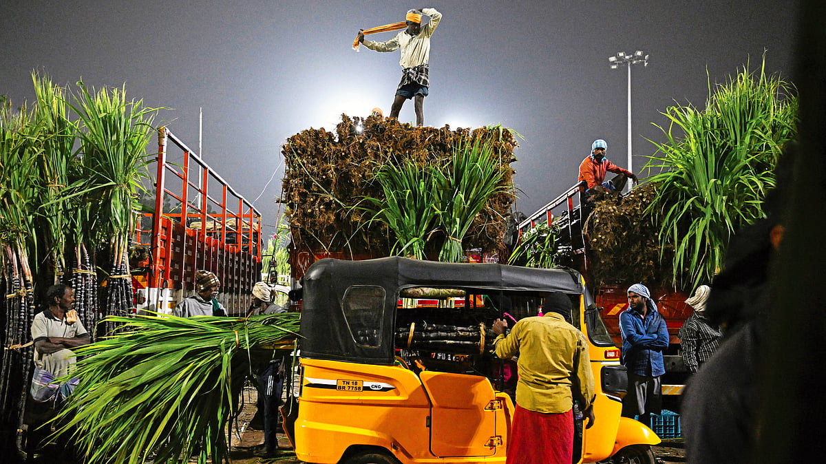 Despite the challenges of growing sugarcane, the farmer has a sound reason to persist