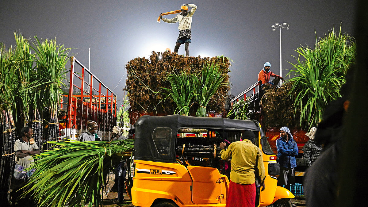 Despite the challenges of growing sugarcane, the farmer has a sound reason to persist