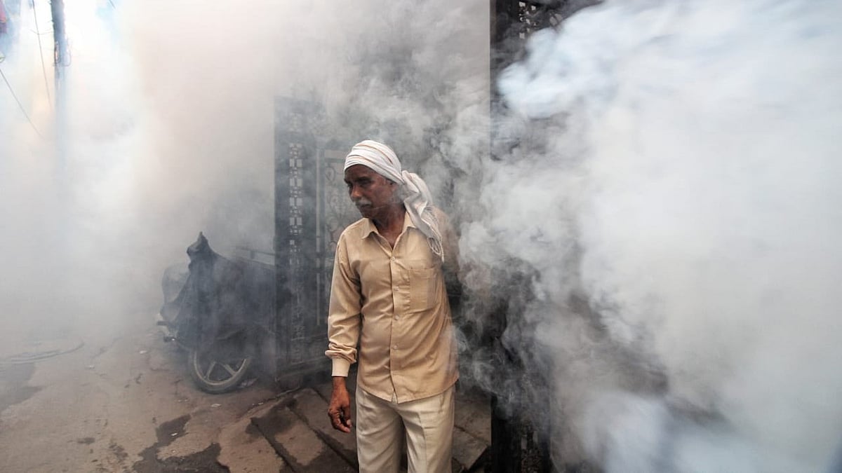 Dengue cases have risen sharply in recent weeks