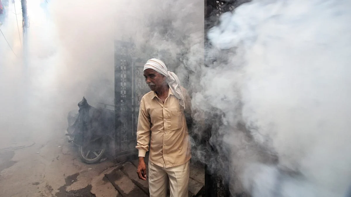 Dengue cases have risen sharply in recent weeks