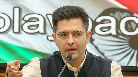 Rajya Sabha MP Raghav Chadha