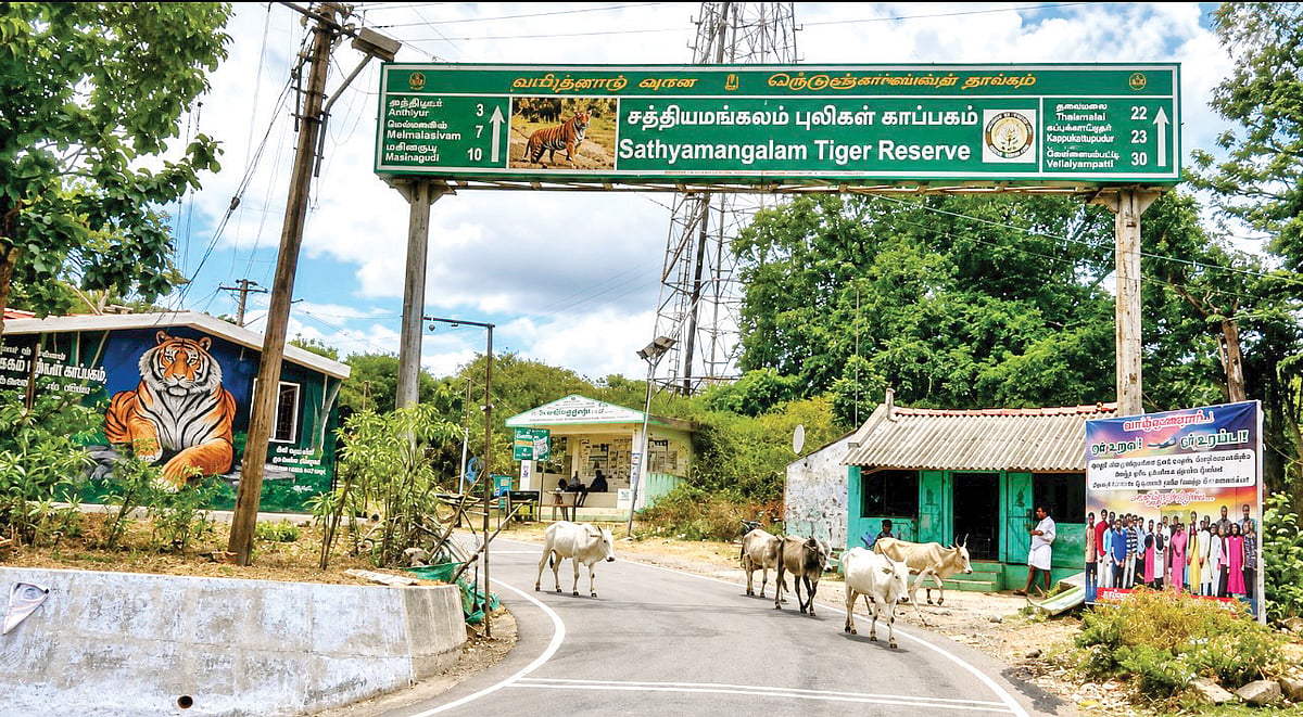 Sathyamangalam entrance; photo: S. Parthibhan