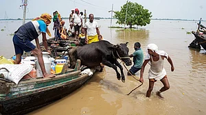 Administration has been instructed to monitor boat operations.