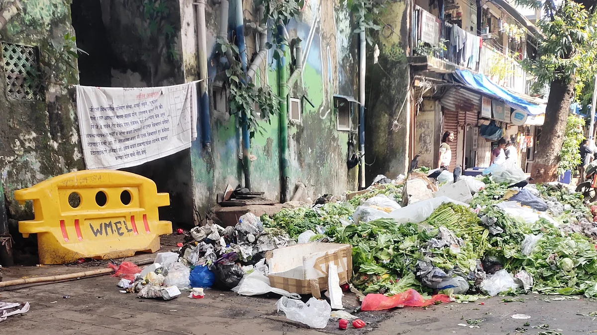 Garbage at Dadar Plaza, Mumbai