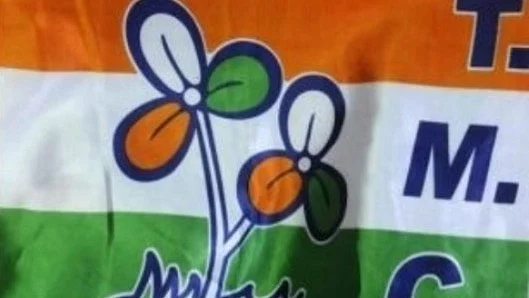 Representative image of TMC flag.