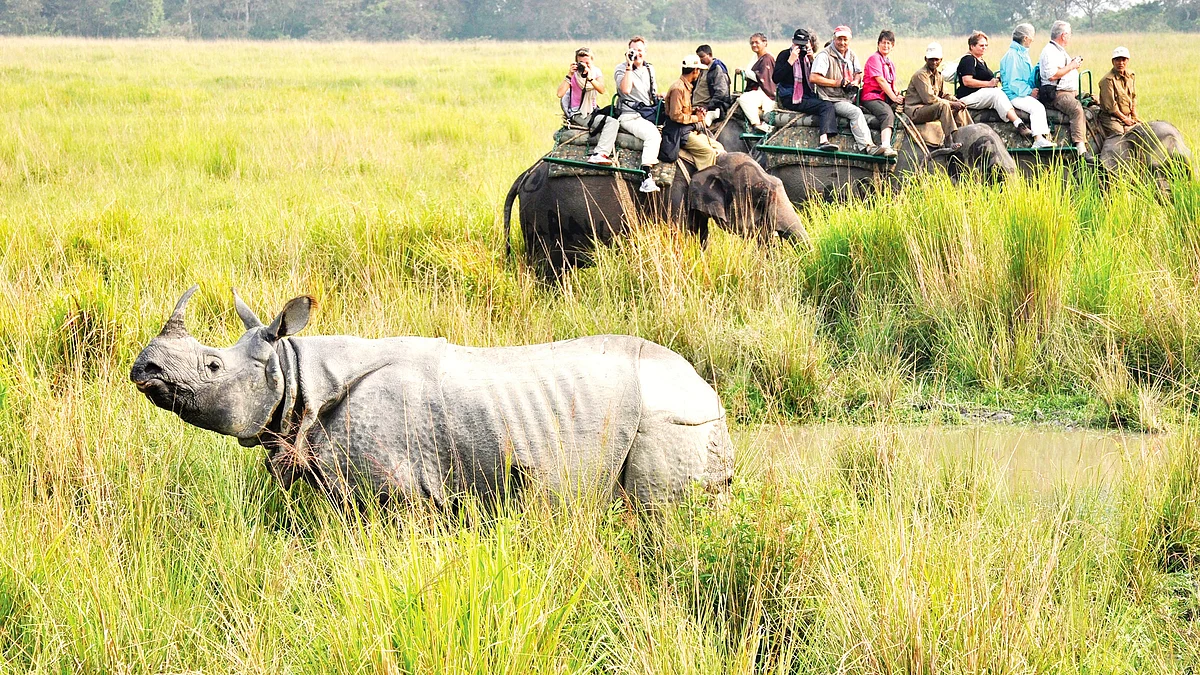 Kaziranga was declared a UNESCO World Heritage Site in 1985 and attracts lakhs of tourists every year
