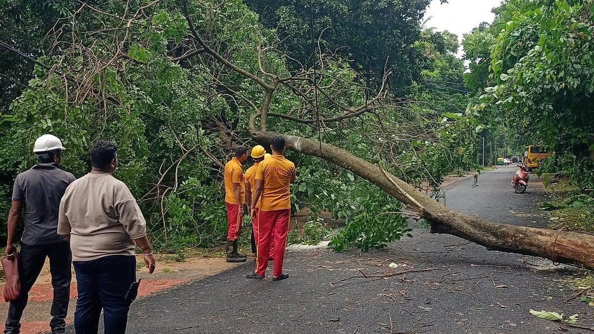 BMC teams work round the clock to clear fallen trees and restore road connectivity in Bhubaneswar.