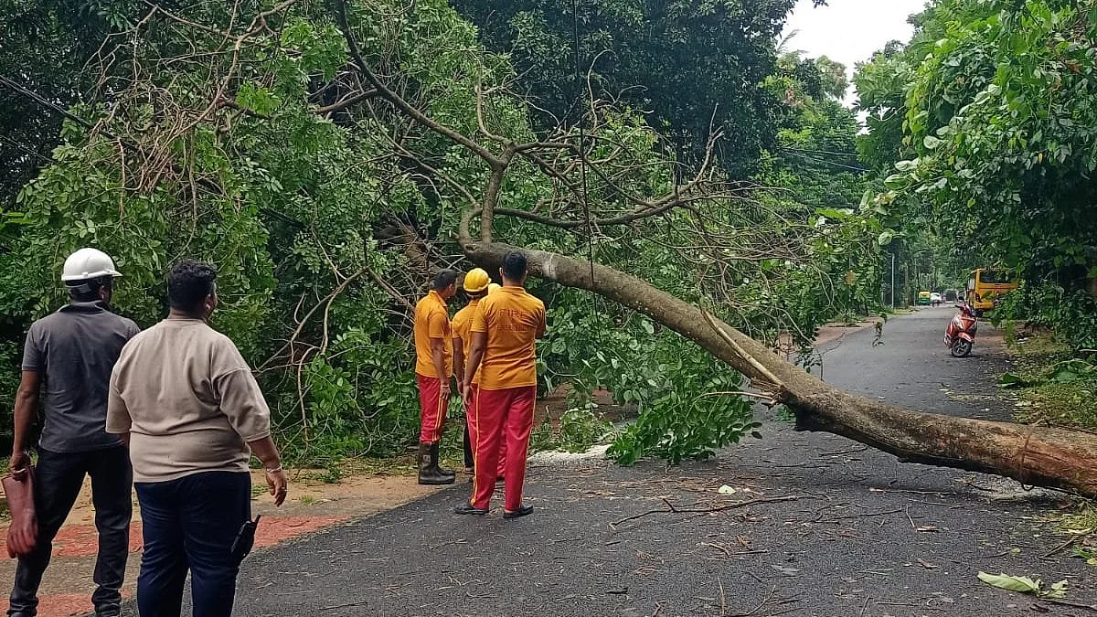 BMC teams work round the clock to clear fallen trees and restore road connectivity in Bhubaneswar.