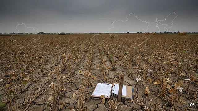 Representative image of a parched field.
