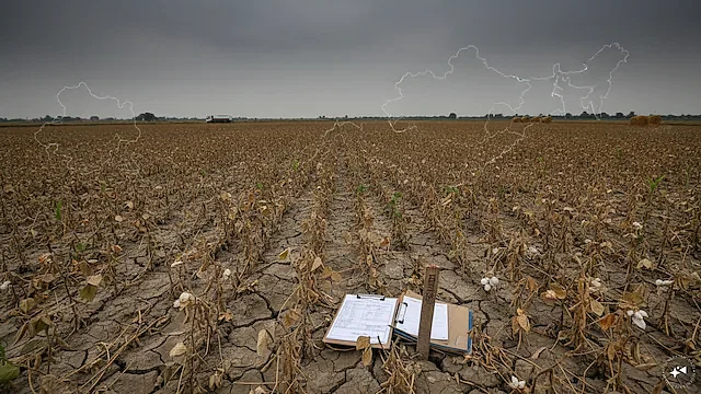 Representative image of a parched field.
